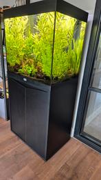 Zeer compleet en net aquarium Aquatlantis Volga 120 liter, Ophalen, Zo goed als nieuw, Gevuld zoetwateraquarium