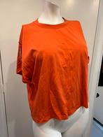 Nikkie oranje koraal tshirt met logo mouw goud maat 42 XL, Kleding | Dames, T-shirts, Oranje, Maat 42/44 (L), Nikkie, Ophalen of Verzenden