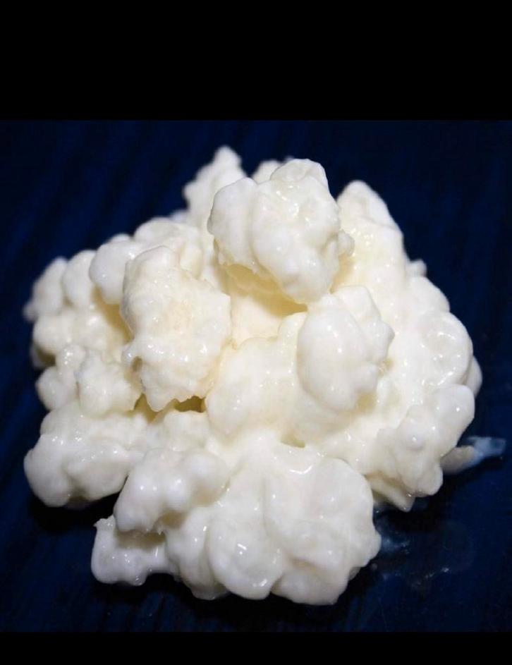 Kefir korrels gegroeid op biologische rauwe melk., Diversen, Levensmiddelen, Ophalen of Verzenden