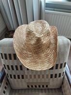 Cowboy hoedjes, Kleding | Dames, Ophalen of Verzenden, Zo goed als nieuw, One size fits all