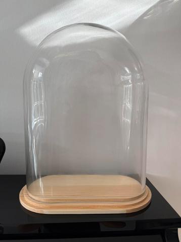 Stolp ovaal XL helder glas Blank houten plateau beschikbaar voor biedingen