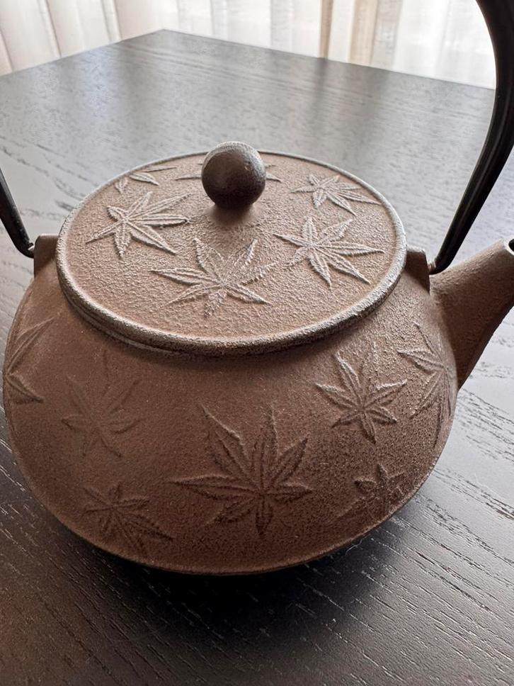 9866 Prachtige gietijzeren theepot van Iwachu – 0,8 liter., Huis en Inrichting, Keuken | Servies, Nieuw, Overige typen, Overige stijlen