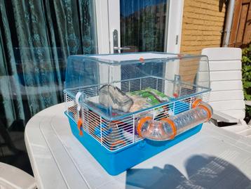 Hamsterkooi+ graan+ huisje beschikbaar voor biedingen