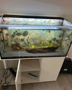 Leeg aquarium, Dieren en Toebehoren, Vissen | Aquaria en Toebehoren, Ophalen, Gebruikt, Leeg aquarium