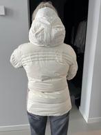 dames skijack, Ophalen of Verzenden, Gedragen, Maat 38/40 (M), Jack