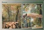 RENESSE Bosgezichten, Verzenden, 1980 tot heden, Gelopen, Zeeland