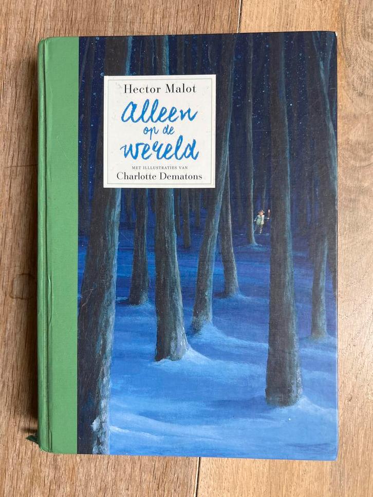 Alleen op de wereld - Hector Malot, Boeken, Kinderboeken | Jeugd | onder 10 jaar, Zo goed als nieuw, Fictie algemeen, Ophalen