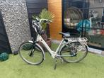 Sparta series xts, 51 tot 55 cm, Ophalen of Verzenden, Zo goed als nieuw, Sparta