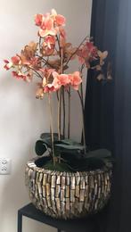 Schelpenvaas + orchideeën + pilaar, Ophalen, Zo goed als nieuw