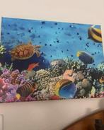 Schilderij onderwaterwereld, Antiek en Kunst, Ophalen of Verzenden