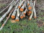 Haardhout gemengd. Els(vnl), Eik, Essen - Gezaagd 2025-2026, 6 m³ of meer, Ophalen, Elzenhout, Stammen
