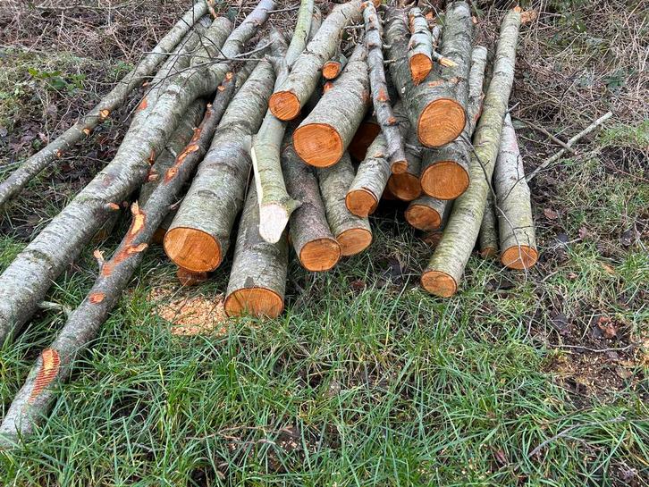 Haardhout gemengd. Els(vnl), Eik, Essen - Gezaagd 2025-2026, Tuin en Terras, Haardhout, Stammen, Elzenhout, 6 m³ of meer, Ophalen