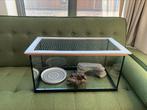 Glazen terrarium / aquarium, Dieren en Toebehoren, Reptielen en Amfibieën | Toebehoren, Ophalen, Gebruikt, Terrarium of Paludarium