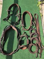 kastangebruin ideal marathon tuig luxe COB incl extra stren, Ophalen