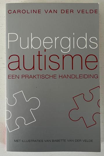 Pubergids autisme - een praktische handleiding beschikbaar voor biedingen