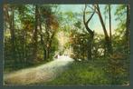 AK Hilversum Bruggetje in het Spaanderswoud 1917, Ophalen of Verzenden, Voor 1920, Gelopen, Noord-Holland