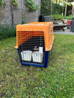 Stevige reisbench voor huisdier, Dieren en Toebehoren, Ophalen, Gebruikt