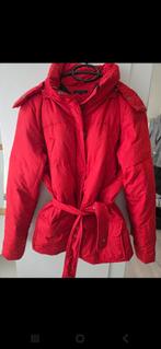 Tommy Hilfiger Rode Winterjas, Kleding | Dames, Ophalen of Verzenden, Maat 36 (S), Gedragen, Rood