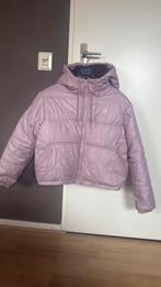 Winterjas Coverse maat S, Overige kleuren, Converse, Ophalen of Verzenden, Maat 36 (S)