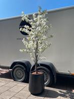 Nieuw! Raindrop plantenpot zwart met kunstbloesemboom, Verzenden, Nieuw