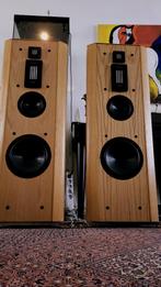 INFINITY Renaissance 90 - High End - in top conditie, Zo goed als nieuw, 120 watt of meer, Front, Rear of Stereo speakers, Ophalen