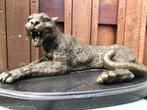 bronzen liggende luipaard cheetah, Ophalen of Verzenden