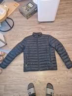 Tommy hilfiger maat L, Ophalen of Verzenden, Zo goed als nieuw