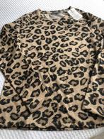 Mooi nieuw goudkleurig shirt van Geisha mt 36, Kleding | Dames, T-shirts, Ophalen, Overige kleuren, Geisha, Nieuw