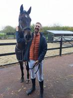 Ervaren ruiter/verzorger – hulp aan huis & zadelmak maken, Ruiter of Bijrijder