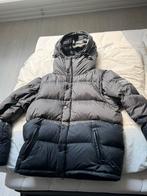 Burberry puffer jas, Maat 52/54 (L), Zwart, Ophalen of Verzenden, Zo goed als nieuw
