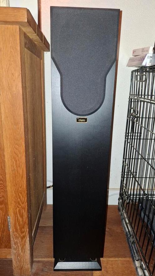 Hele nette Chario Syntar 100T., Audio, Tv en Foto, Luidsprekers, Zo goed als nieuw, Front, Rear of Stereo speakers, 120 watt of meer
