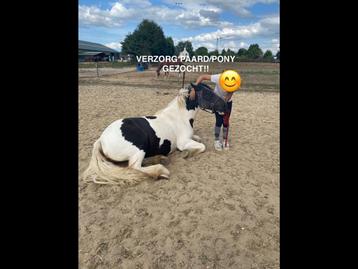 Verzorg pony/paard gezocht! Verzorger aangeboden! beschikbaar voor biedingen