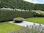 Plantenbak Ceder polyester schaal 153 cm, Tuin en Terras, Ophalen, Kunststof, 100 cm of meer, Rond