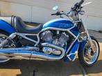 Harley v-rod blauw grijs., Motoren, Motoren | Harley-Davidson, 1247 cc, 12 t/m 35 kW, Particulier, 2 cilinders