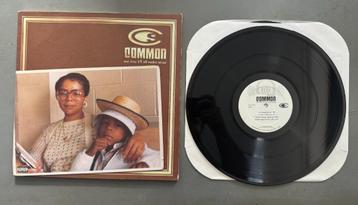 Common - One Day It'll All Make Sense (2xLP) beschikbaar voor biedingen
