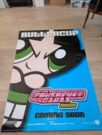 Power puff girls poster van vinyl geen papier. Groot formaat, Verzamelen, Posters, Ophalen, Zo goed als nieuw, Rechthoekig Staand