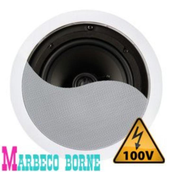 Luidspreker, Plafondspeaker 100 volt 100V / 8 Ohm 8" 120W, Audio, Tv en Foto, Luidsprekers, Nieuw, Overige typen, 60 tot 120 watt