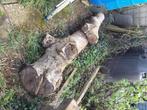 Grote stronken notenhout, Doe-het-zelf en Verbouw, Hout en Planken, Overige typen, Gebruikt, Minder dan 200 cm, Ophalen