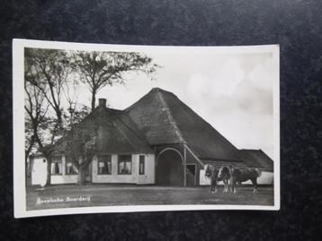 TEXEL  Boerderij  beschikbaar voor biedingen