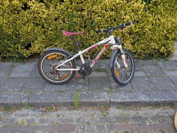 Specialized Hotrock 20" Mountain Bike beschikbaar voor biedingen