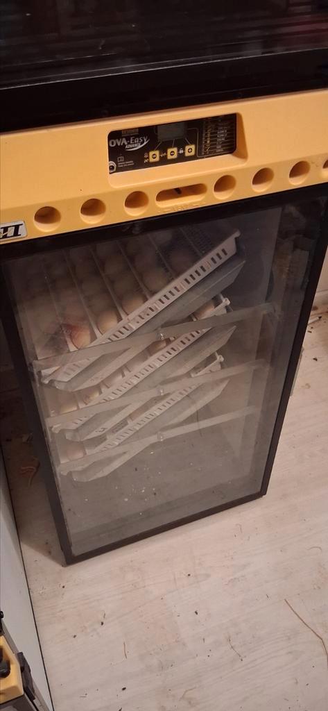 Brinsea Ova-Easy 190 Advance EX Met Automatisch Vochtsysteem, Dieren en Toebehoren, Pluimvee | Toebehoren, Broedmachine, Ophalen