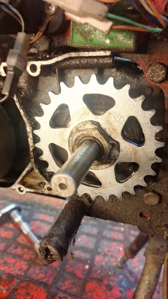 Tomos reparaties leiden, Fietsen en Brommers, Brommers | Tomos, Zo goed als nieuw, Standard, Ophalen of Verzenden