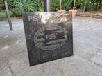 PSV subwoofer tegel graniet 45x45, Ophalen, 120 watt of meer, Subwoofer, Overige merken