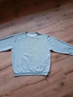 Heren sweater, Ophalen of Verzenden, Zo goed als nieuw, Grijs