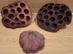 lotus pods, Ophalen, Nieuw, Plant(en), Steen of Hout