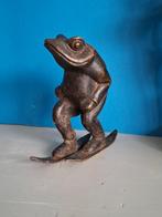 Kikker van brons, Ophalen of Verzenden