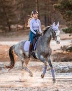 Bijrijder gezocht voor super leuk en braaf paard, Diensten en Vakmensen, Dieren | Paarden | Verzorging, Oppas en Les