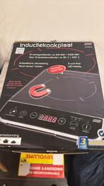 1 pan inductie kookplaat. Werkt prima, Ophalen, Gebruikt, 3 kookzones of minder, Inductie