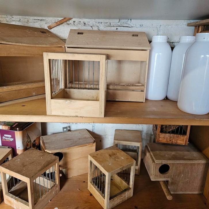 Vogel spullen, Dieren en Toebehoren, Knaagdieren en Konijnen | Hokken en Kooien, Zo goed als nieuw, Kooi, Minder dan 60 cm, Minder dan 75 cm