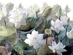 Bloemen behang Lotus Flowers XL, 375x270 cm, Muurdeco4kids, Verzenden, Minder dan 10 m², Romantisch, trendy, Bloemenbehang
